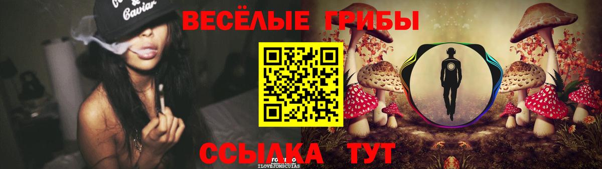 Псилоцибиновые грибы Psilocybe  Псилоцибиновые грибы прущие грибы  Кумертау  Вход с VPN 